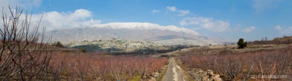 Mt Hermon
