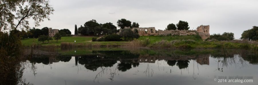 Aphek