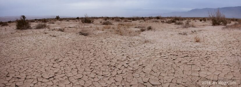 Negev Desert