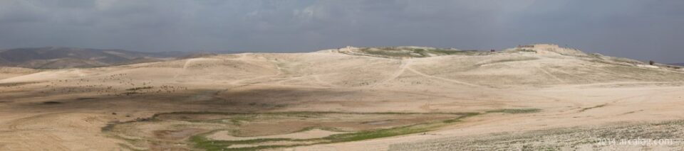 Tel Arad