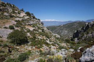 Sidyma